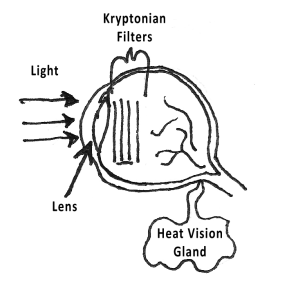 Polarized, of course.